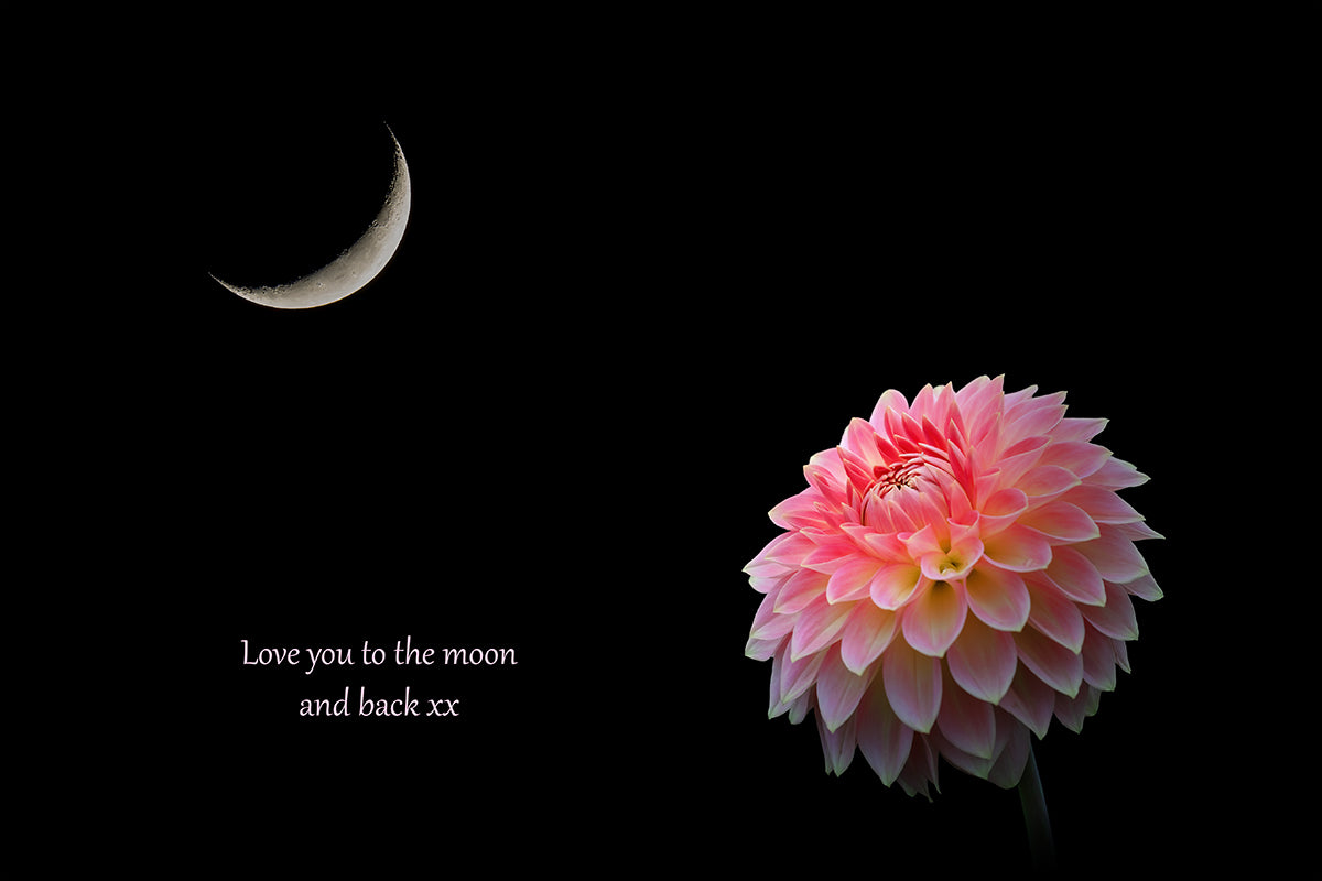 Gift Card - Love you to the moon and back