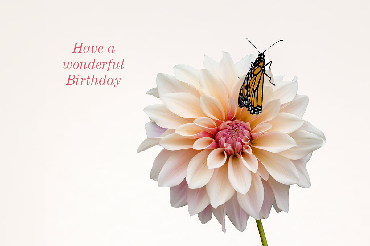 Gift card - Have a wonderful Birthday