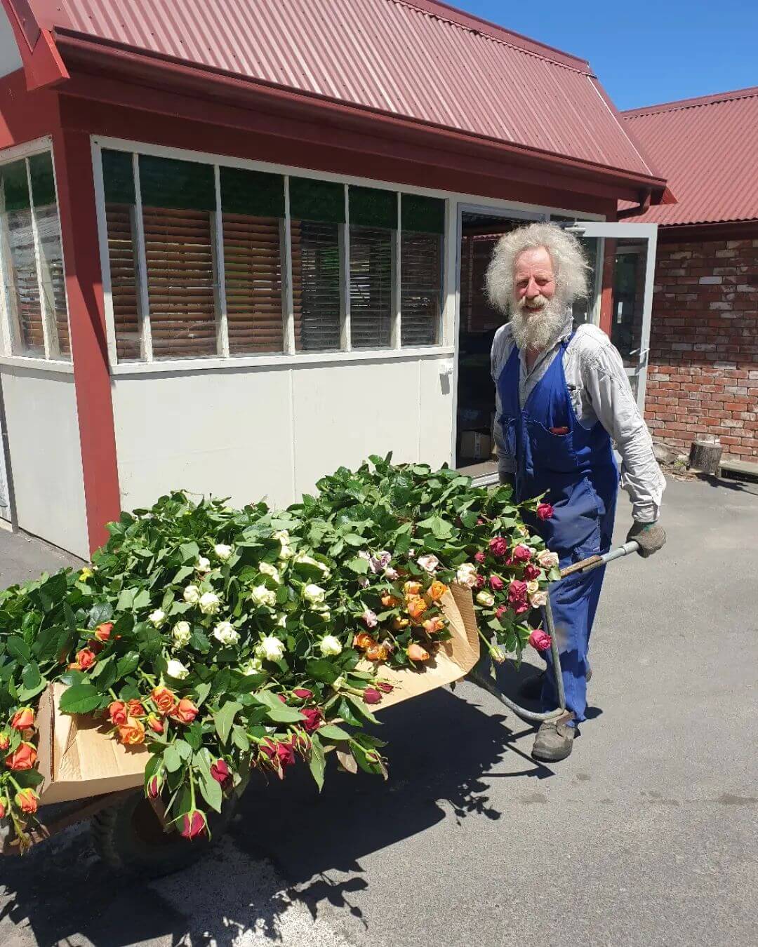 Our farmer delivering freshly cut flowers to our florist