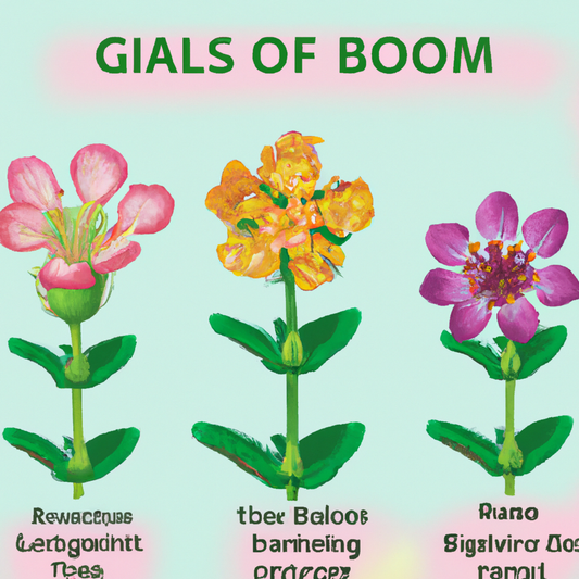 An illustrated guide showing the stages of flower growth, from seed to full bloom, in a vibrant, detailed botanical style.