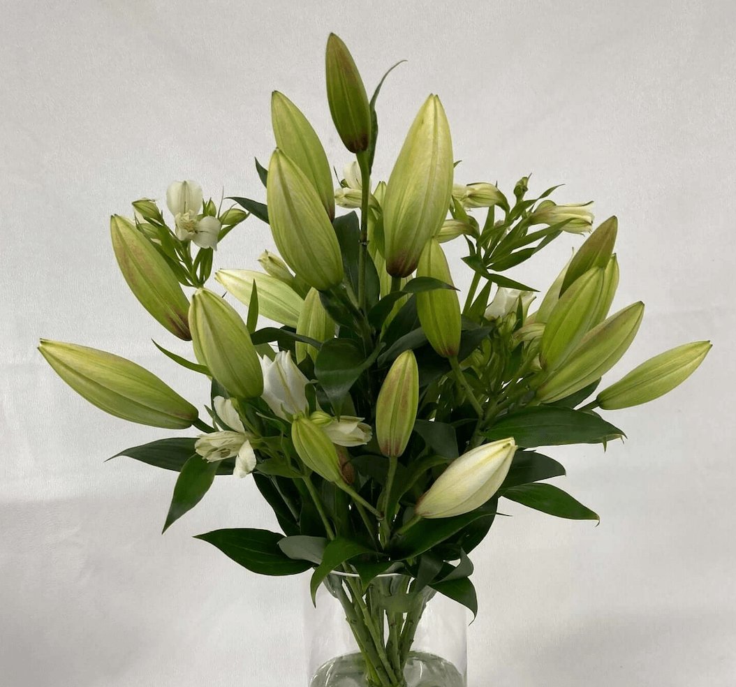 Lilies christchurch