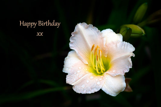 Gift card - Happy Birthday - Day Lily