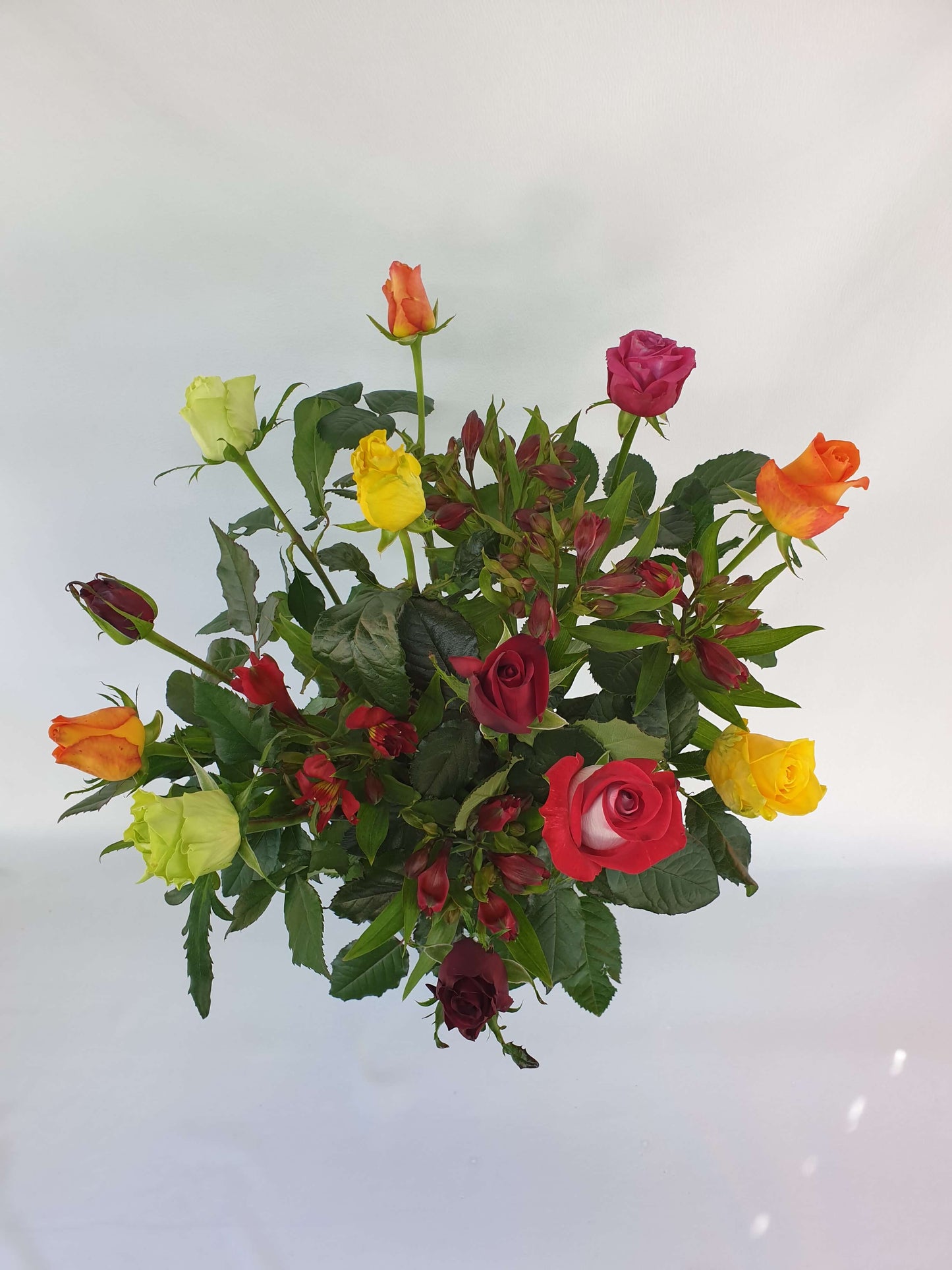 A dozen bright red, orange, yellow, and green roses from above