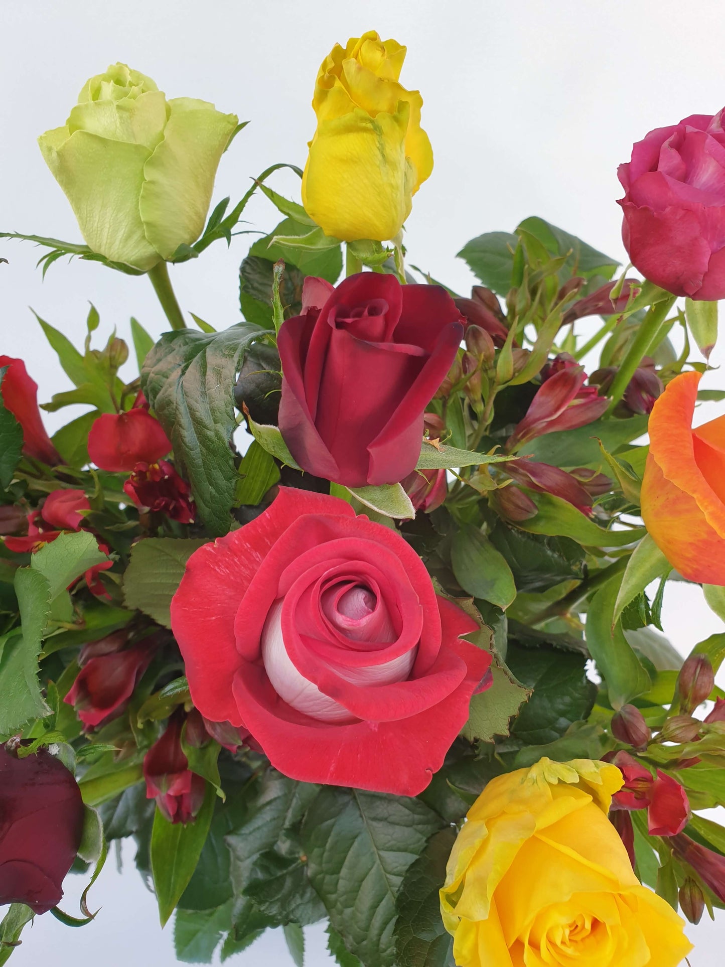 A dozen bright red, orange, yellow, and green roses up close