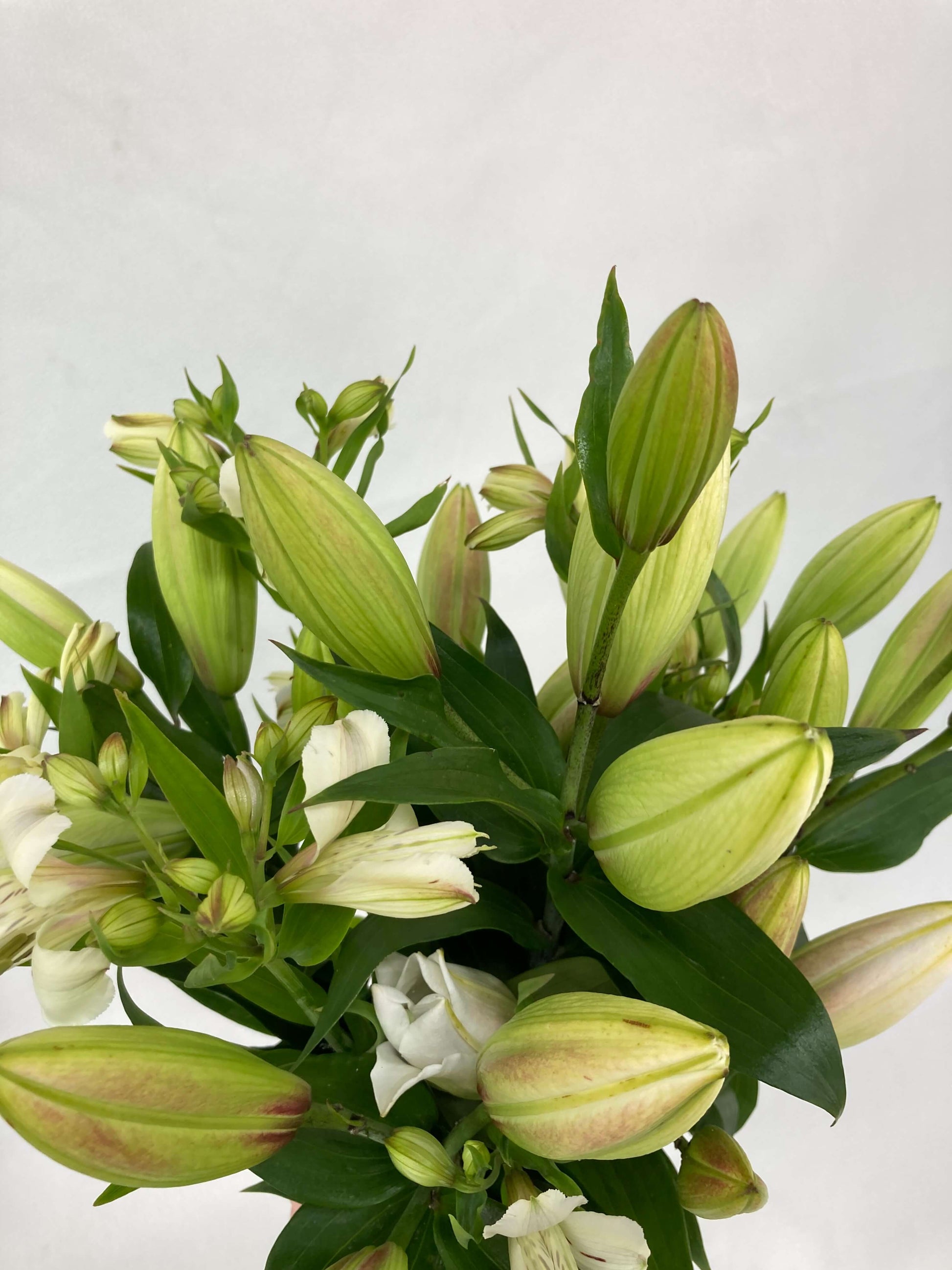 White lilies with alstroemeria up close.