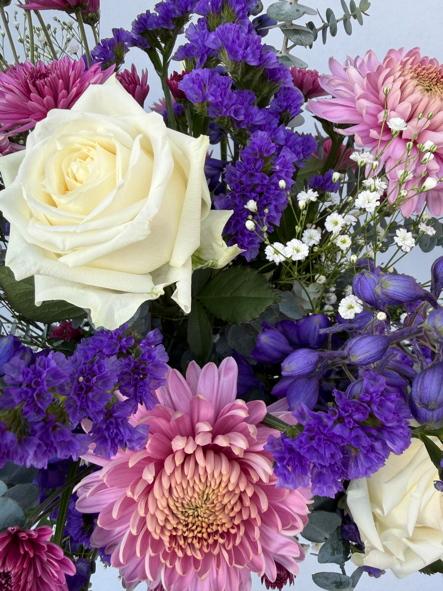 purple, pink, and white flowers