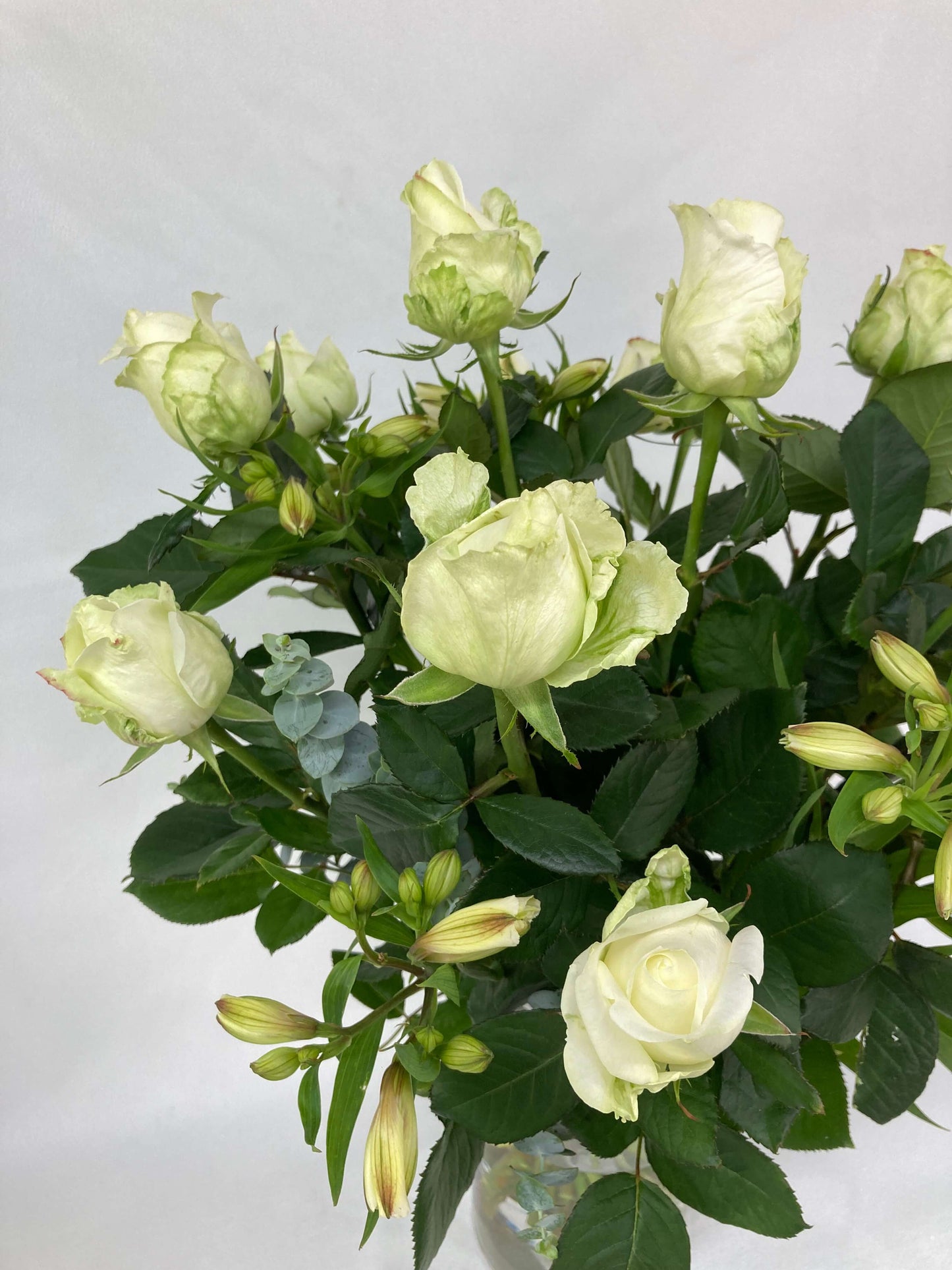 Dozen white roses up close. 